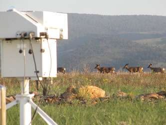 Visitors to the Table Mountain Facility